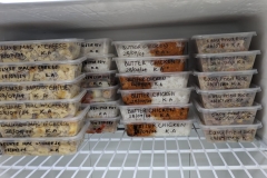 d29b62f8-ffdc-428a-9522-bdbdaed60fa0